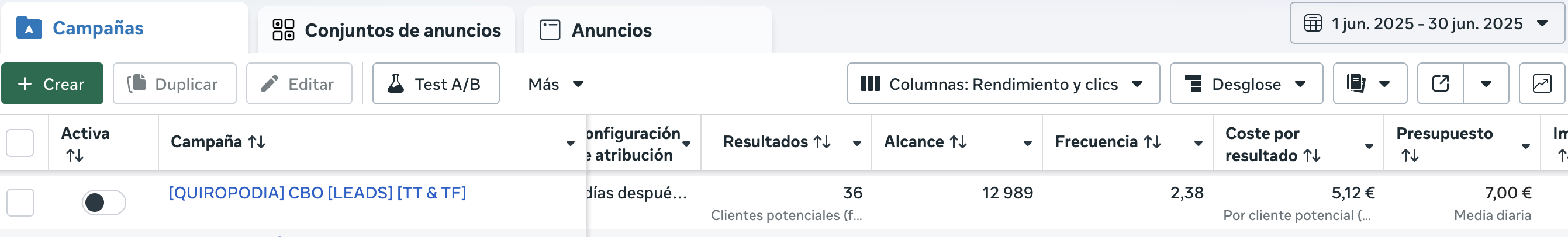 Campaña Quiropodia — 36 clientes potenciales, 5,12€ por cliente potencial